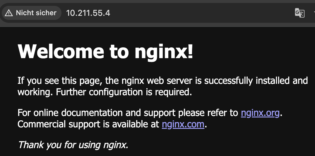 Beispiel Seite von NGINX